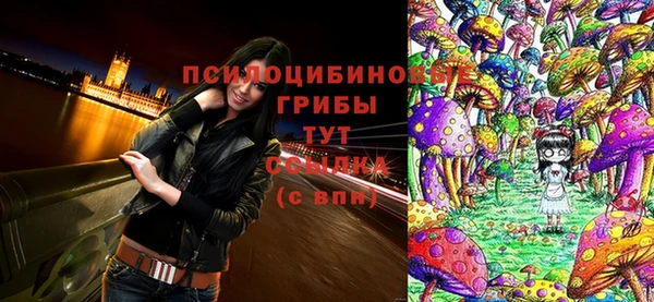 прущий лед Осинники