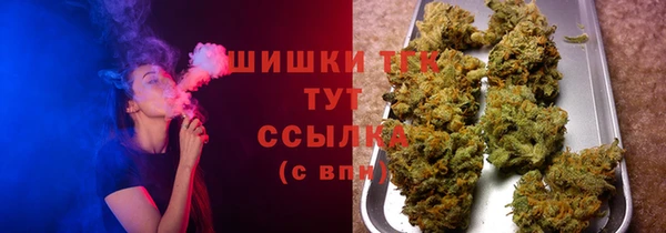 PSILOCYBIN Осташков