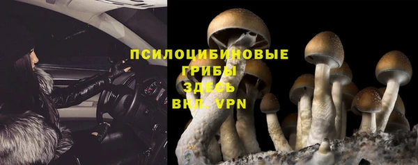 прущий лед Осинники