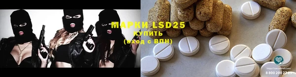 PSILOCYBIN Осташков