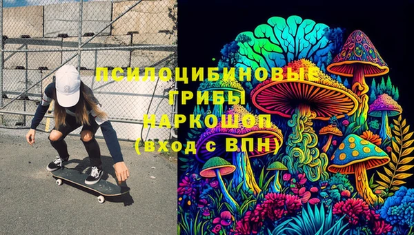 PSILOCYBIN Осташков