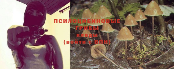 прущий лед Осинники