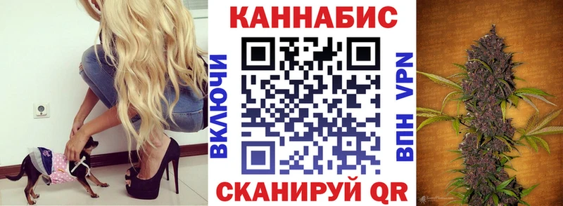 Каннабис White Widow  Циолковский 